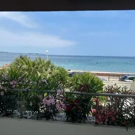 Palm Les Pieds Dans L'eau Apartamento Cannes